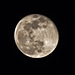 Our "super moon" of tonight (wednesday 20 february 2019) at 9:23 pm - Hand free