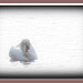 High key swan