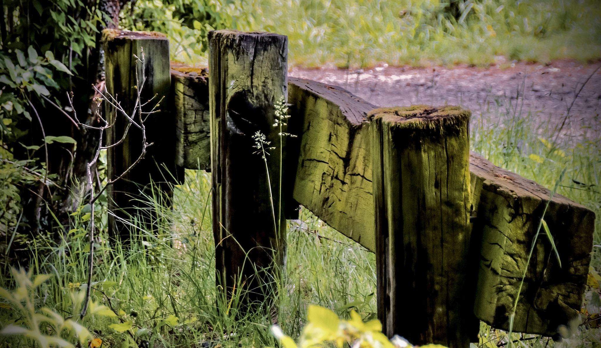 A Fence for Friday