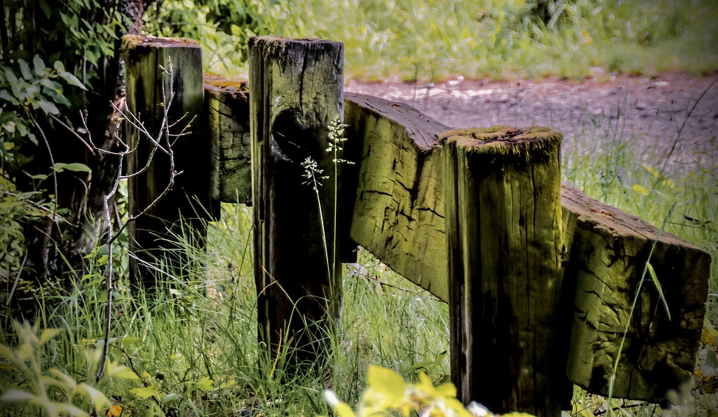 A Fence for Friday