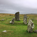 Merivale Stone Rows