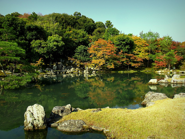 Koi pond