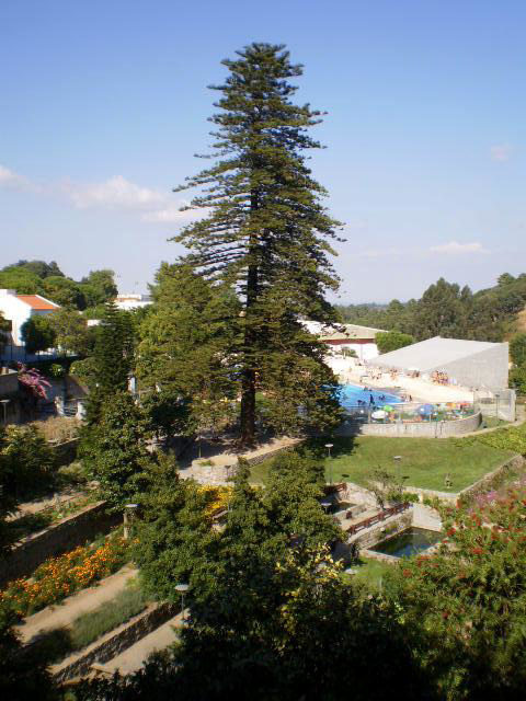 Overlooking the municipal swimming-pool.