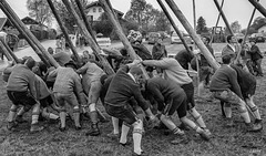 Maibaum