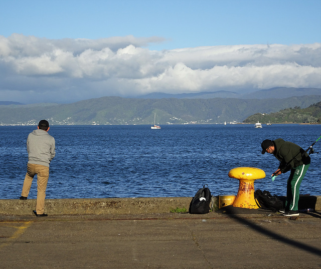 Wellington Pier 1