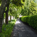The Long Walk, St Mary's Quadrangle, University of St Andrews