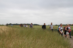 Randonnée Bombon-La Chapelle Gauthier-Bombon  - 20/06/2015