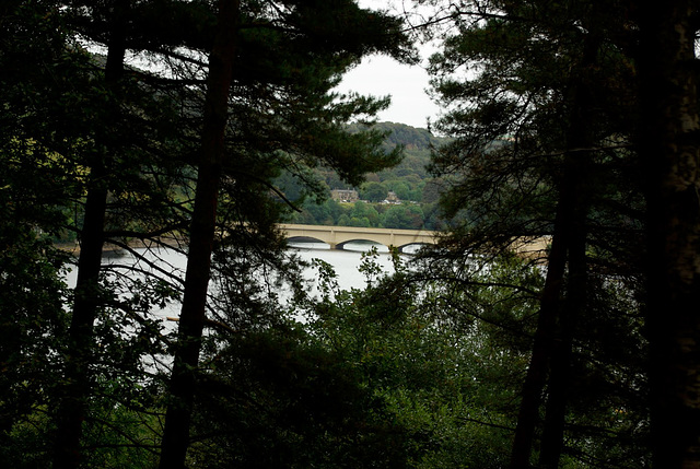 Ladybower Reservoir (glimpsed through the trees)