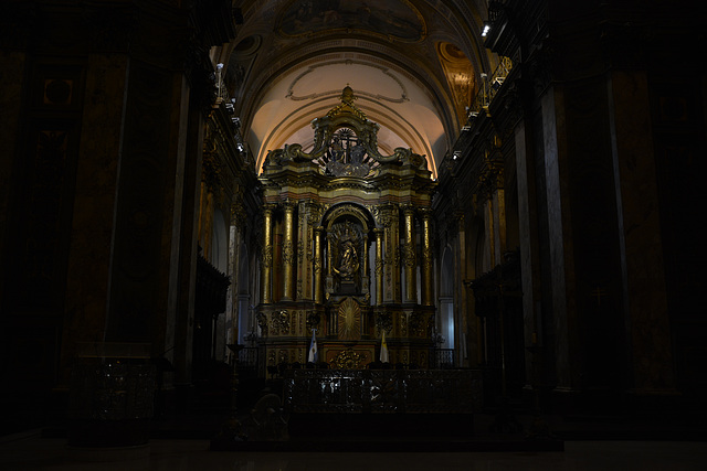 The Cathedral of Buenos Aires Inside