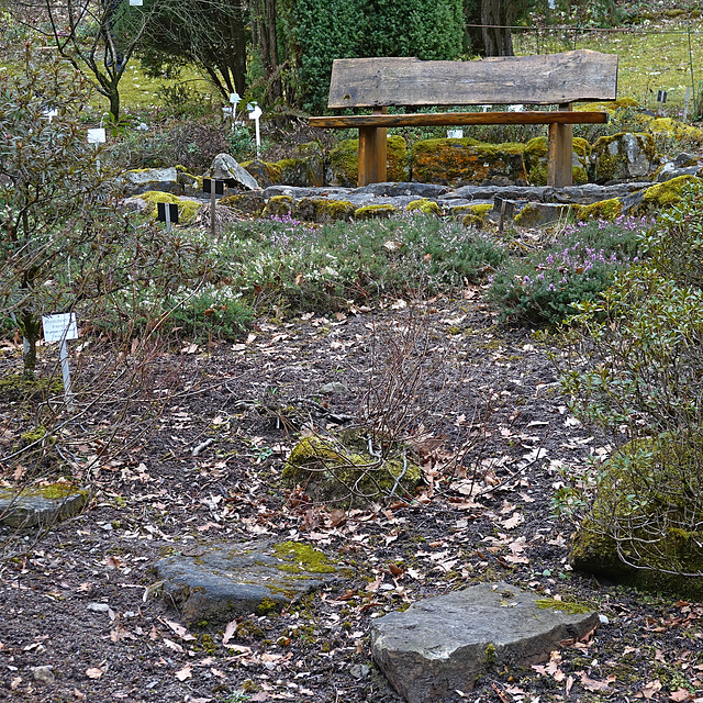 HBM in the Botanic Garden of the University