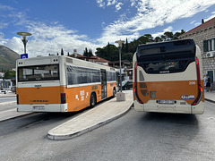 Libertas Dubrovnik buses at Cavtat, Croatia – Oct 2023 (JLS IMG-1425) Photo by Jane Slater