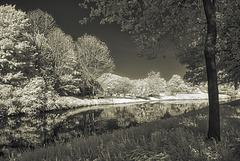 Idyll am Süd-Nord-Kanal bei Wietmarschen