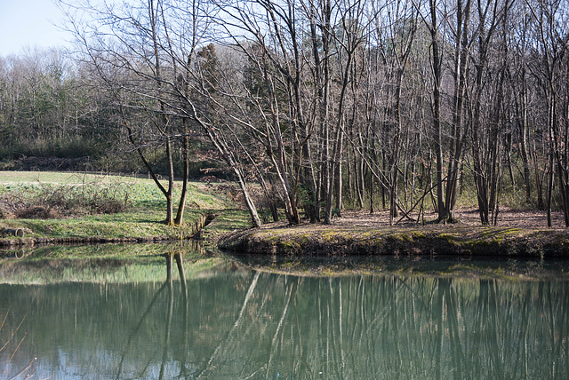 Green pond