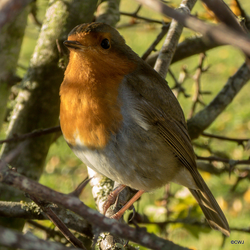 Enough of the modelling - when are you feeding me?