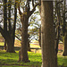 Hill fort panorama