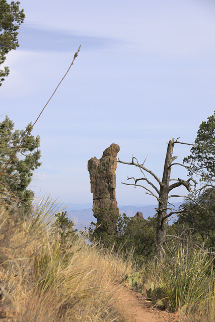 Pinnacles Trail