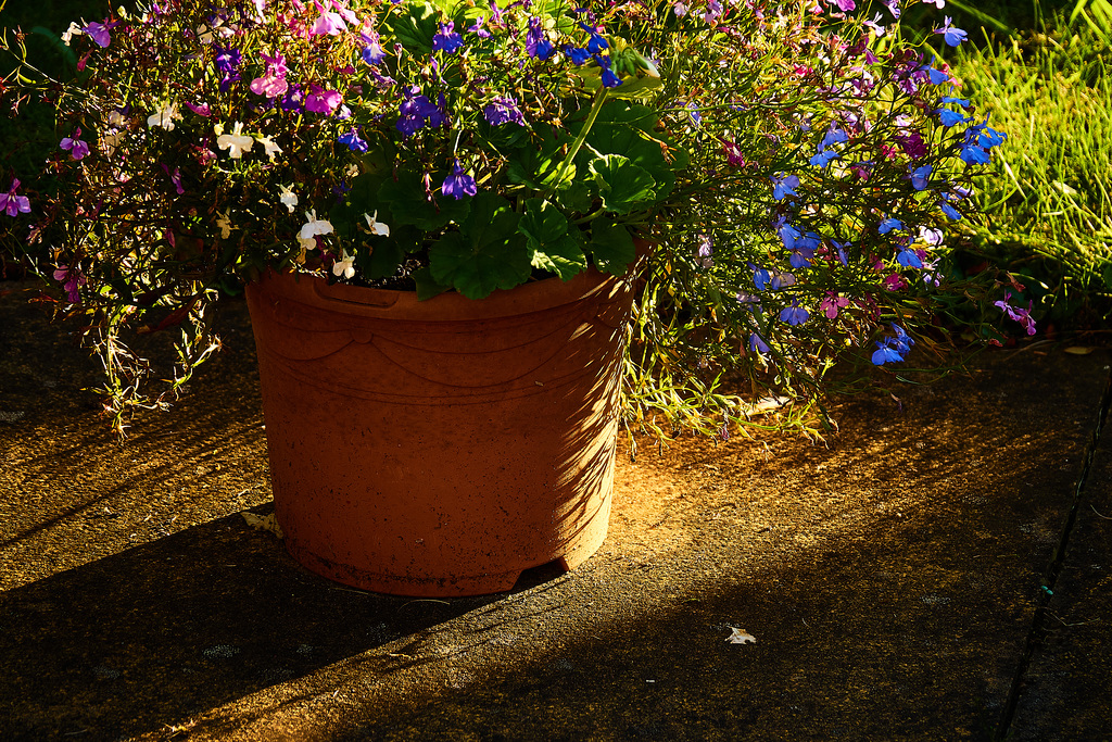 That late late sun.That long long light. Those bright bright shining colours