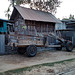 Tracteur laotien 100% pure laine