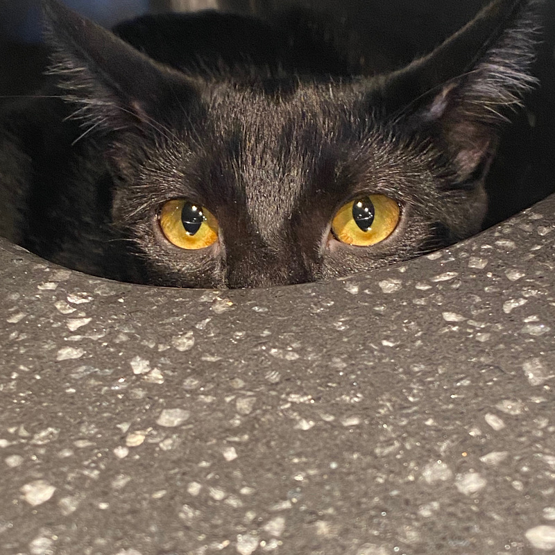 hiding