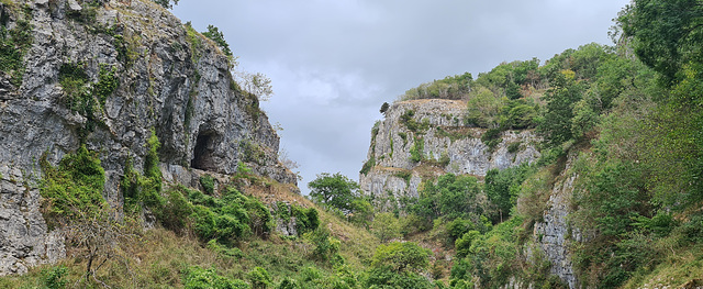 Cheddar gorge