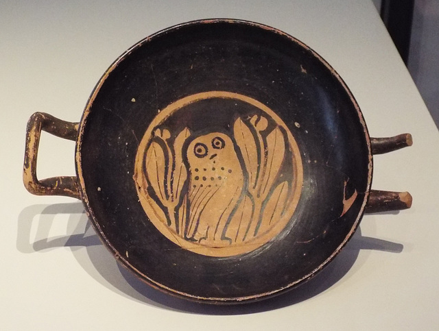 Attic Red-Figure Cup with an Owl in the Archaeological Museum of Madrid, October 2022