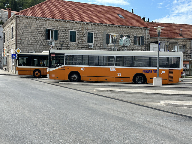 Libertas Dubrovnik buses at Cavtat, Croatia – Oct 2023 (JLS IMG-1426) Photo by Jane Slater