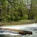 Bulgaria, Blagoevgrad, Spring Flood on the Bistritsa River