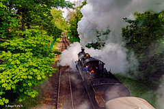 Climbing Crowcombe Bank! Climbing Crowcombe Bank!