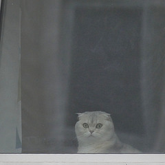 Zoigl | Was macht das mit dir?