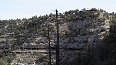 Walnut Canyon National Monument cliff dwellings (1569)