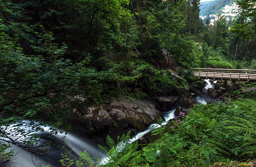 Der Gutach-Wasserfall oberhalb Triberg