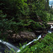 Der Gutach-Wasserfall oberhalb Triberg