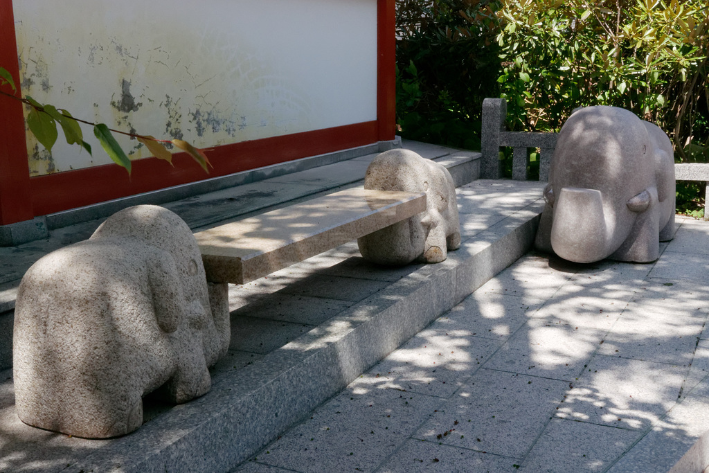 Banc d'éléphants