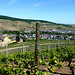 Blick auf Kloster Kalvarienberg und Ahrweiler