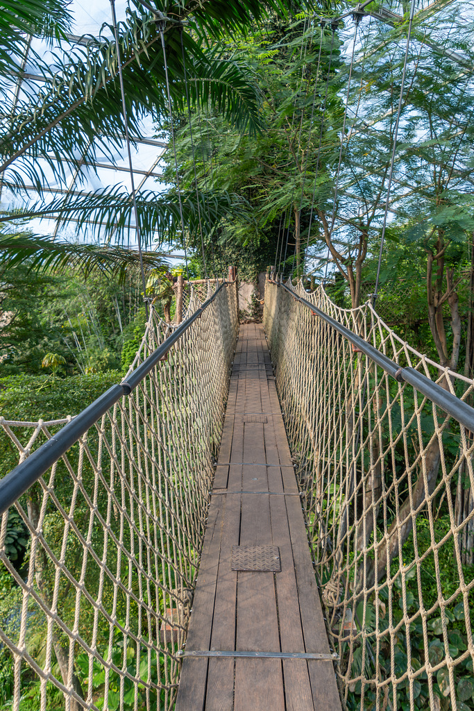 Hängebrücke im Gondwanaland