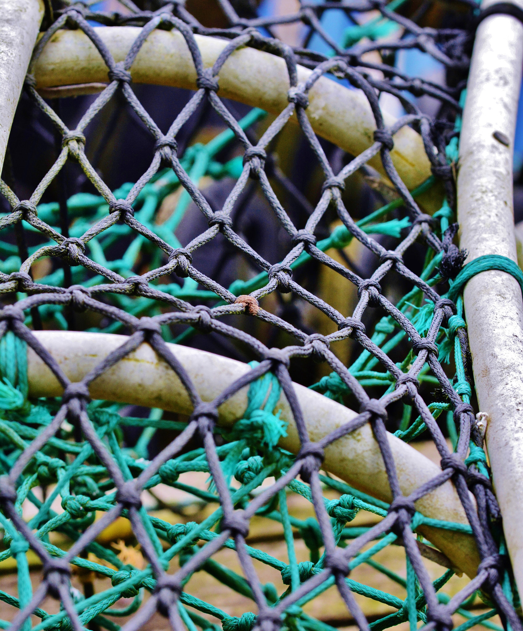 Lobster Pot