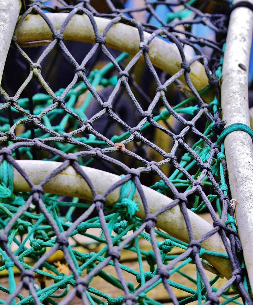 Lobster Pot