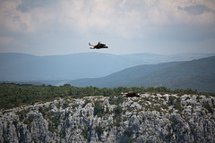 20150529 8312VRAw [R~F] Gänsegeier, Gorges du Verdon, Cote d'Azur