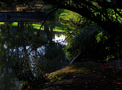 Captured Light