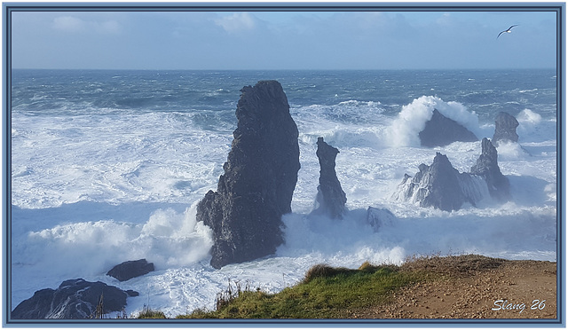 Belle Ile en Mer 7