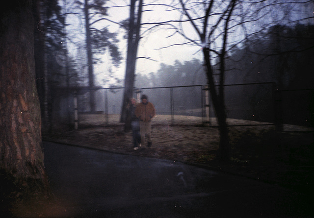 T&K, in the woods