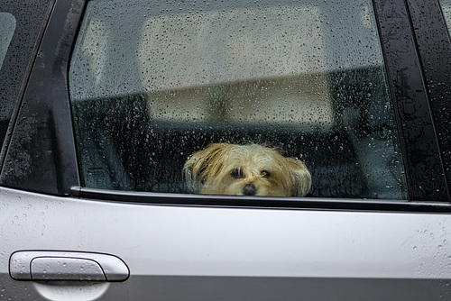 Do I want to get out?
