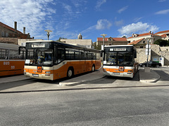 Libertas Dubrovnik buses at Cavtat, Croatia – Oct 2023 (JLS IMG-1442) Photo by Jane Slater