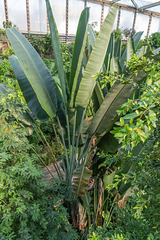 Gondwanaland von oben! :-)
