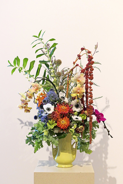 Creative cluster