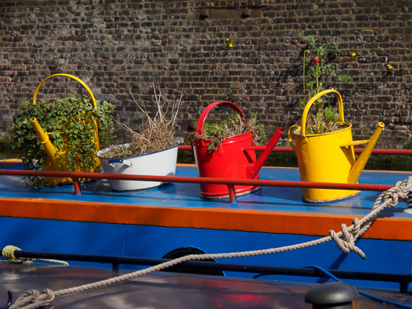 Colourful watering cans