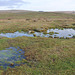 Dartmoor National Park Landscape