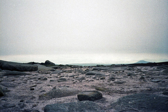 Path towards Kinder Low (Scan from July 1991)