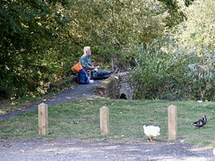 Packhorse Bridge over Shell Brook at Shell