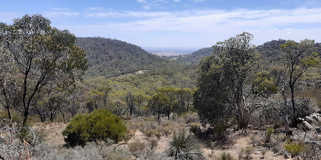 Kaiserstuhl, Barossa Range